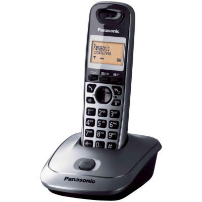 PANASONIC KX-TG2511 (ARGENTO) - TELEFONO CORDLESS - VIVAVOCE - ID CHIAMANTE