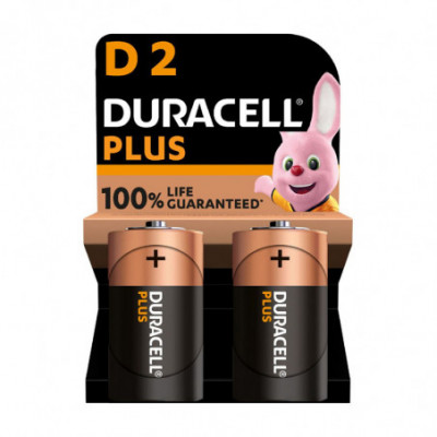 DURACELL MN1300 BLISTER 2 BATTERIE D2