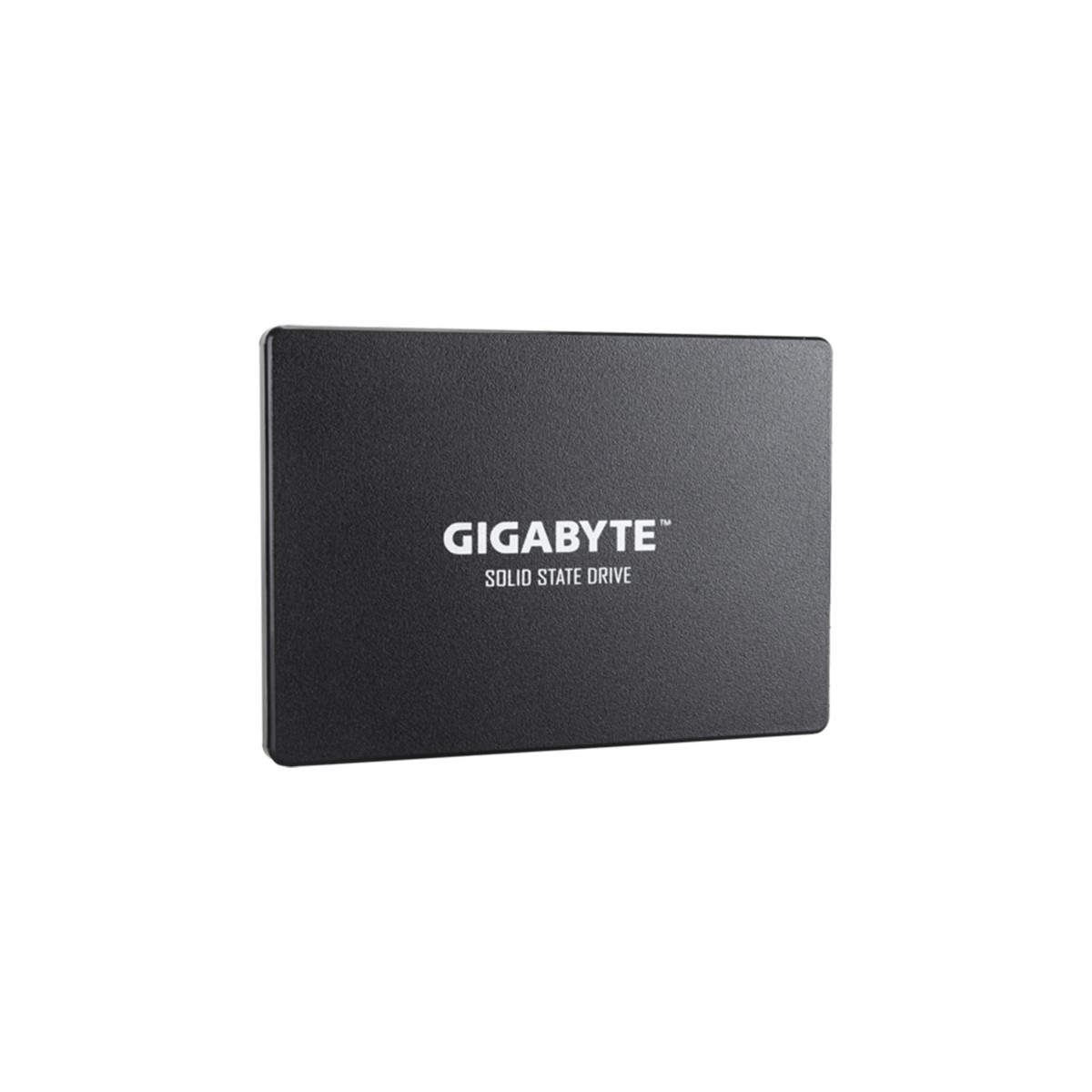 GIGABYTE GP-GSTFS31256GTND SSD 256GB - INTERNO - 2.5 - SATA3