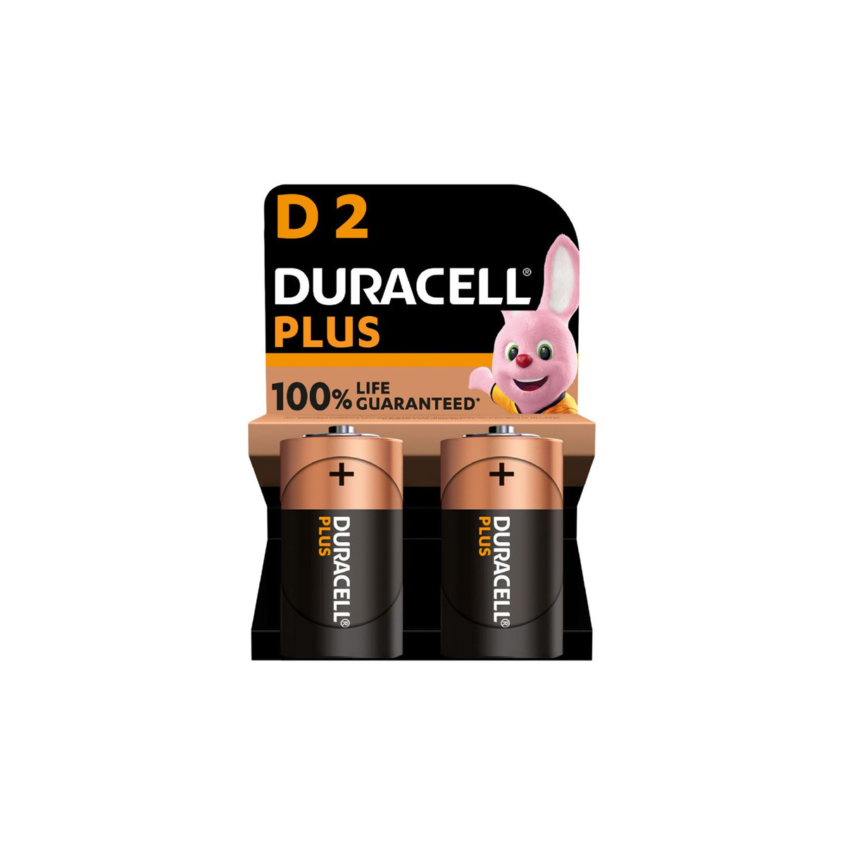 DURACELL MN1300 BLISTER 2 BATTERIE D2